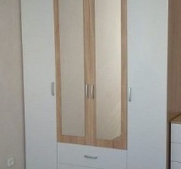 Шкаф Софи СШК 1600.1